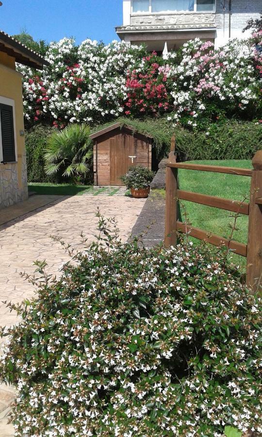 L'Infinito Bed & Breakfast Carbognano Екстериор снимка